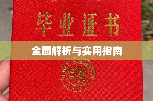 逊克全面解析与实用指南