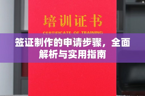 逊克签证制作的申请步骤，全面解析与实用指南