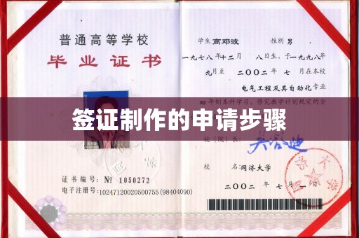逊克签证制作的申请步骤