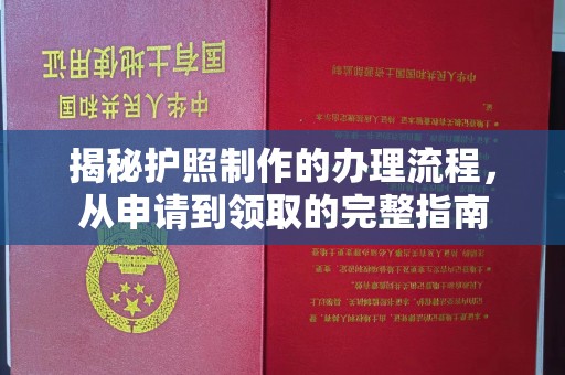 逊克揭秘护照制作的办理流程，从申请到领取的完整指南
