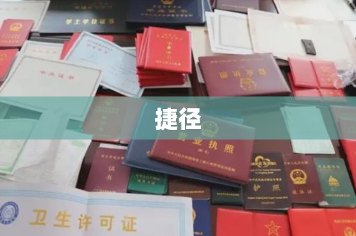 逊克捷径