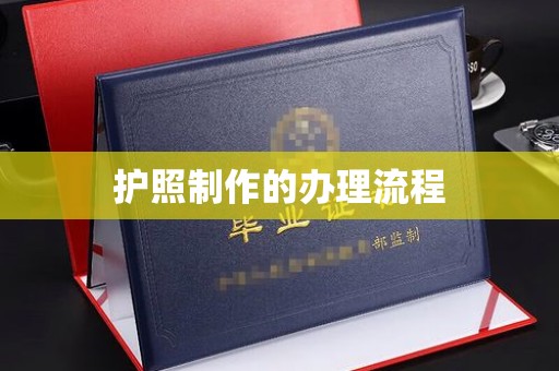 逊克护照制作的办理流程
