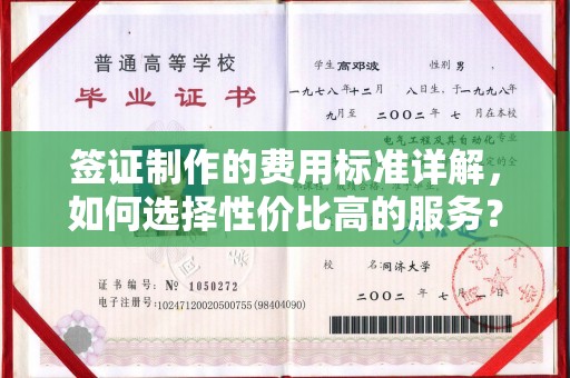 逊克签证制作的费用标准详解，如何选择性价比高的服务？