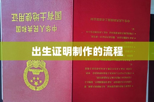 逊克出生证明制作的流程